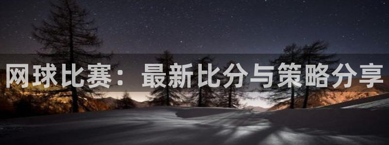 网球比赛：最新比分与策略分享