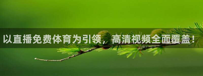 以直播免费体育为引领，高清视频全面覆盖！